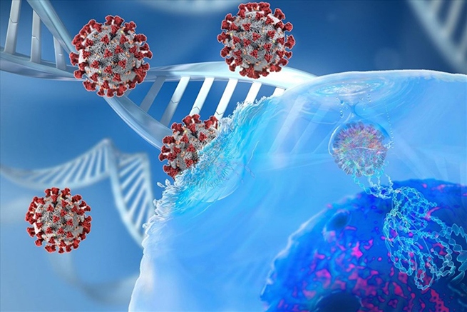 Pháp phát hiện biến chủng SARS-CoV-2 mới có khả năng “qua mặt” xét nghiệm PCR